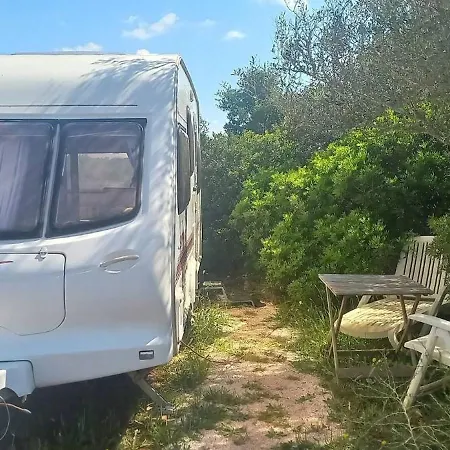 A Very Neat Caravan For 4 With Amenities And View Of The Horses Holiday home *